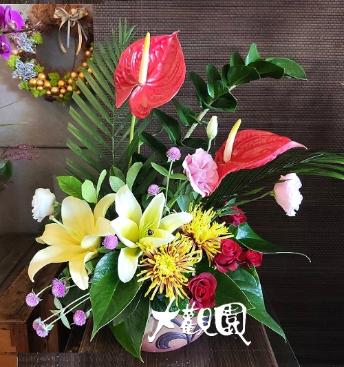 精緻盆花 新居落成 開幕 祝賀盆花