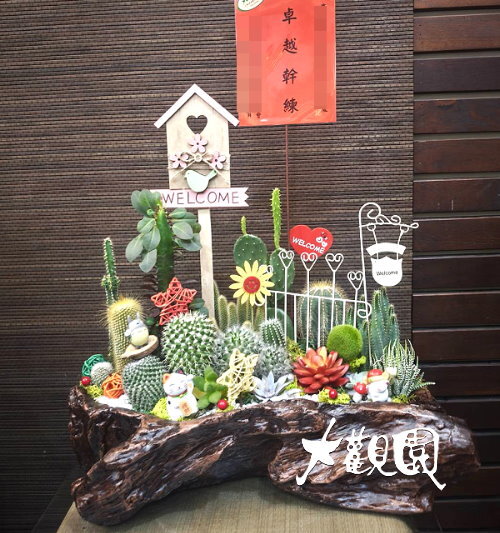 多肉植物 辦公室 療癒盆栽 致賀盆栽 新增到收藏夾 分享