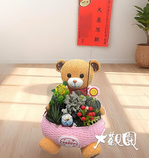 多肉植物 辦公室 療癒盆栽 致賀盆栽