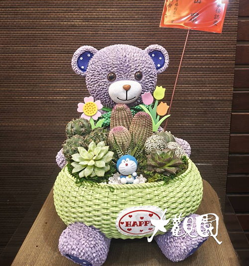 多肉植物 辦公室 療癒盆栽 致賀盆栽