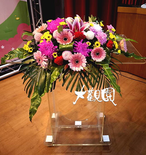 精緻盆花 祝賀盆花 喜慶桌上花 會場佈置盆花