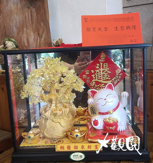 金錢樹會招手招財貓  埔里大觀園花店